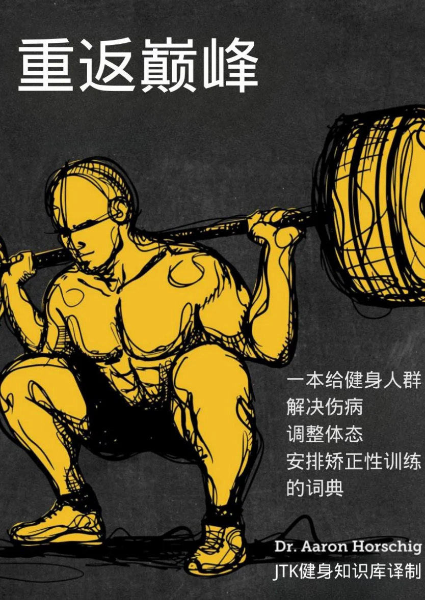《重返巅峰》中文封面
