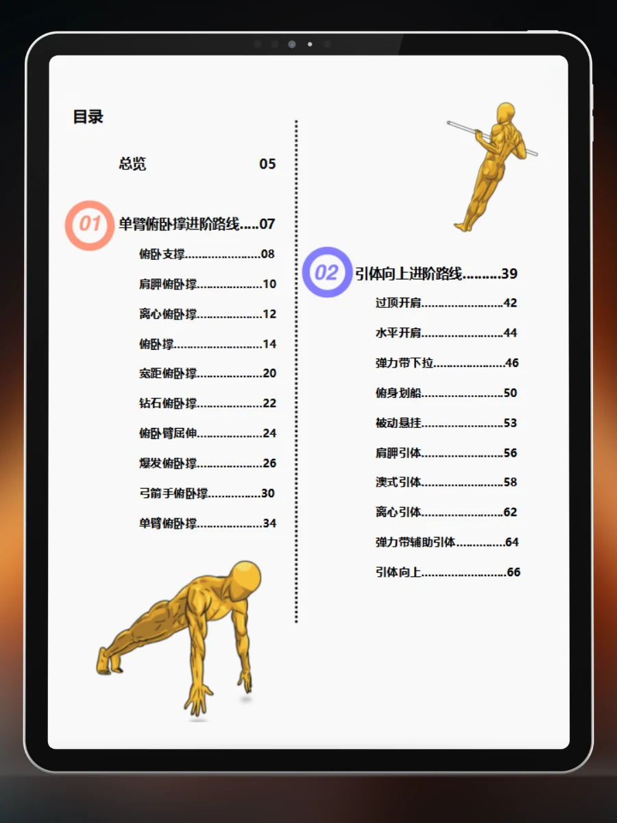 徒手健身训练手册 — 目录：推与拉