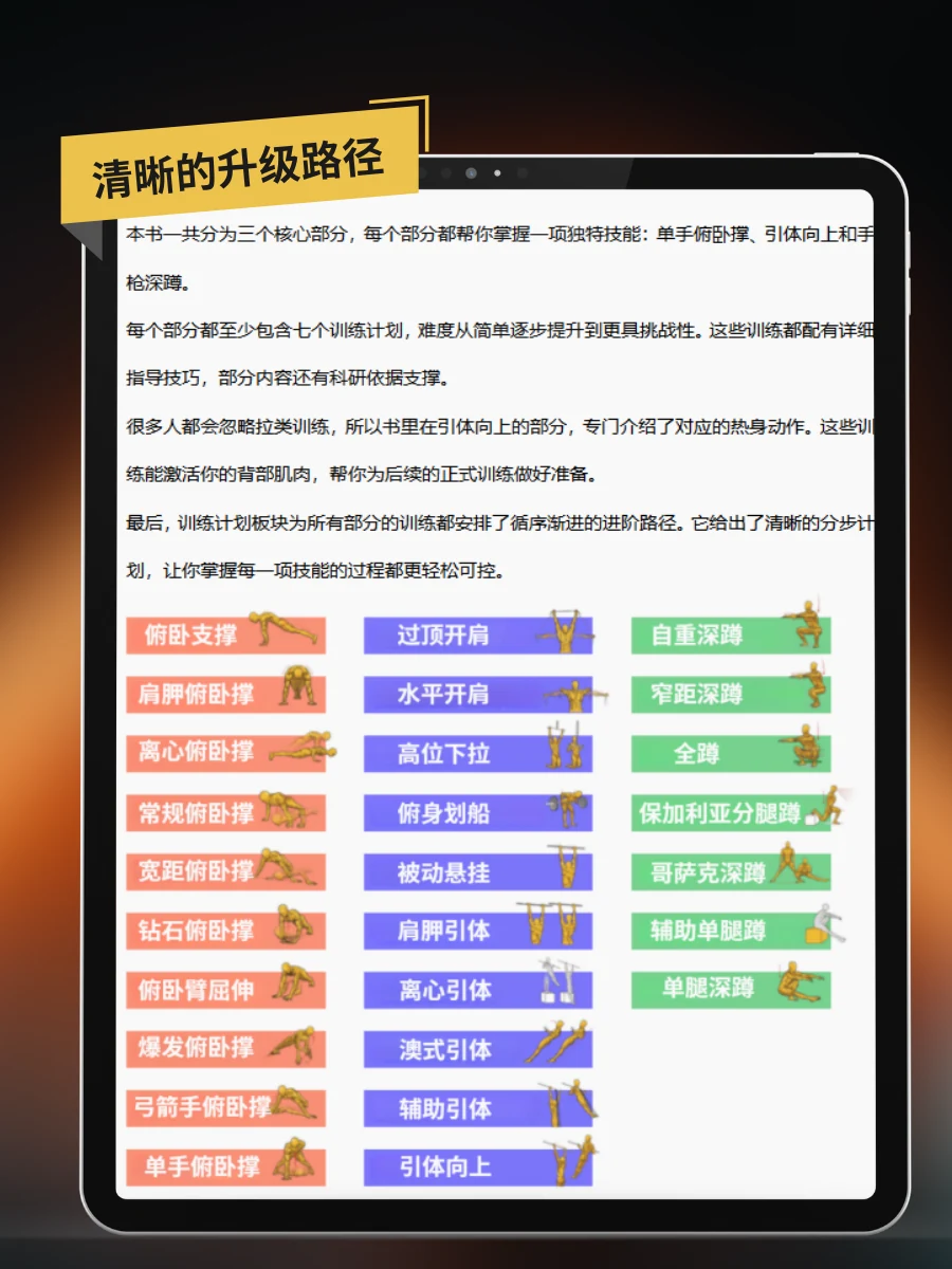 徒手健身训练手册 — 动作进阶路线