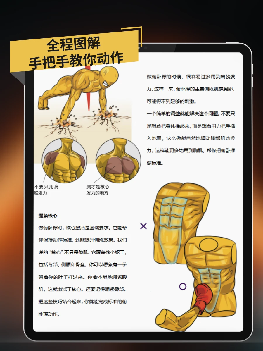 徒手健身训练手册 — 动作图解