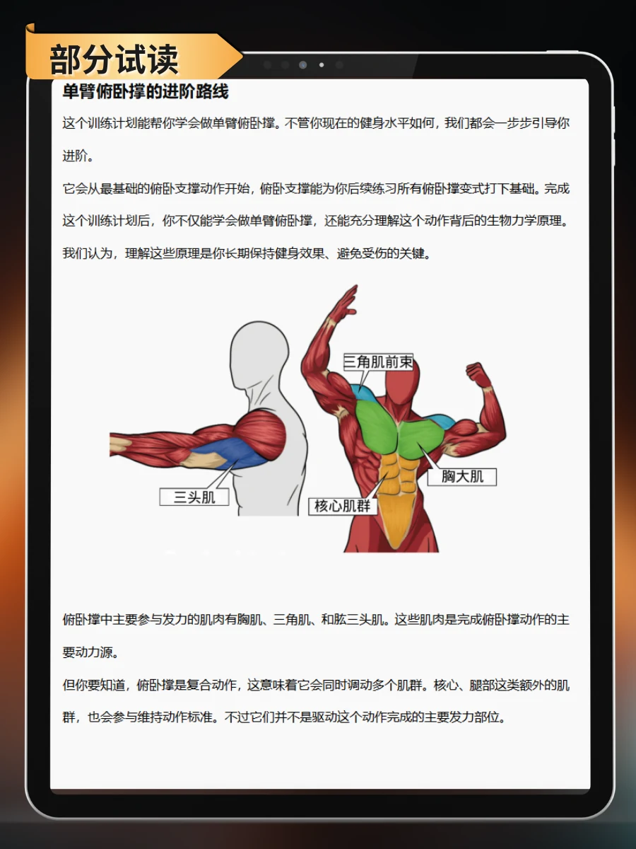 徒手健身训练手册 — 内容试读：俯卧撑