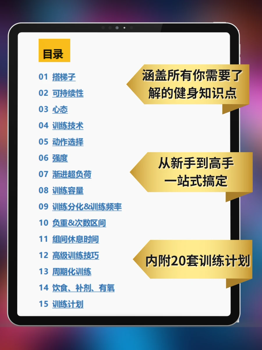 肌肉阶梯 — 目录与训练体系