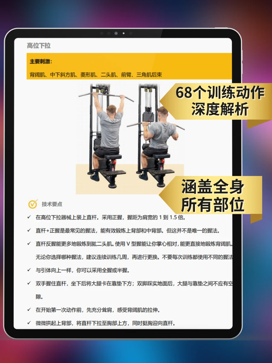 肌肉阶梯 — 训练动作解析