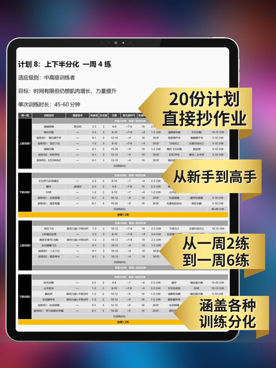肌肉阶梯 — 训练计划展示
