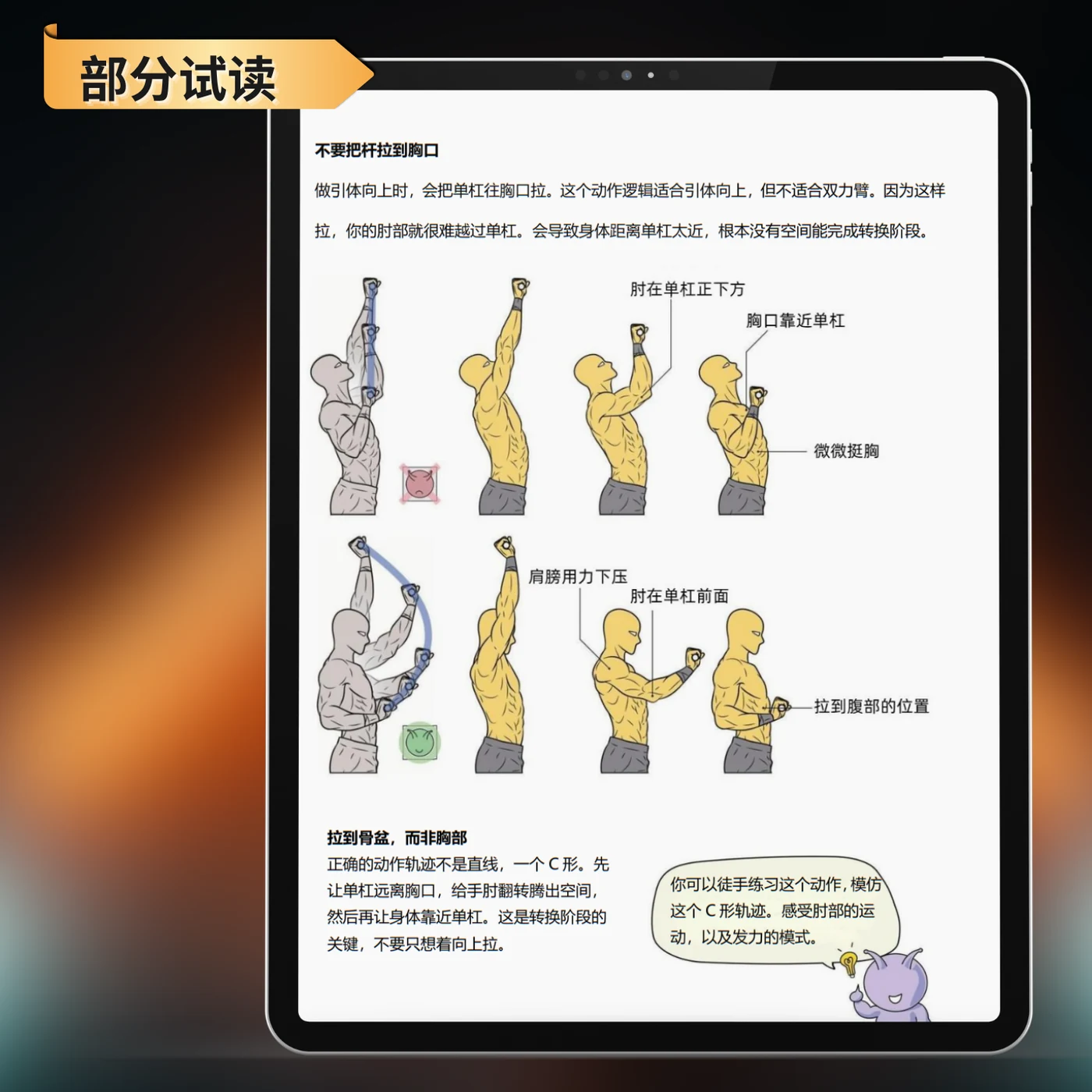 徒手健身：解锁双力臂 — 内容试读：双力臂