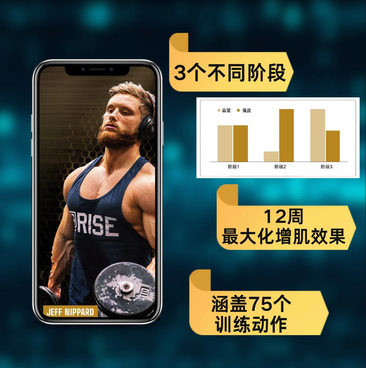 终极腿推拉计划 — 训练阶段与动作