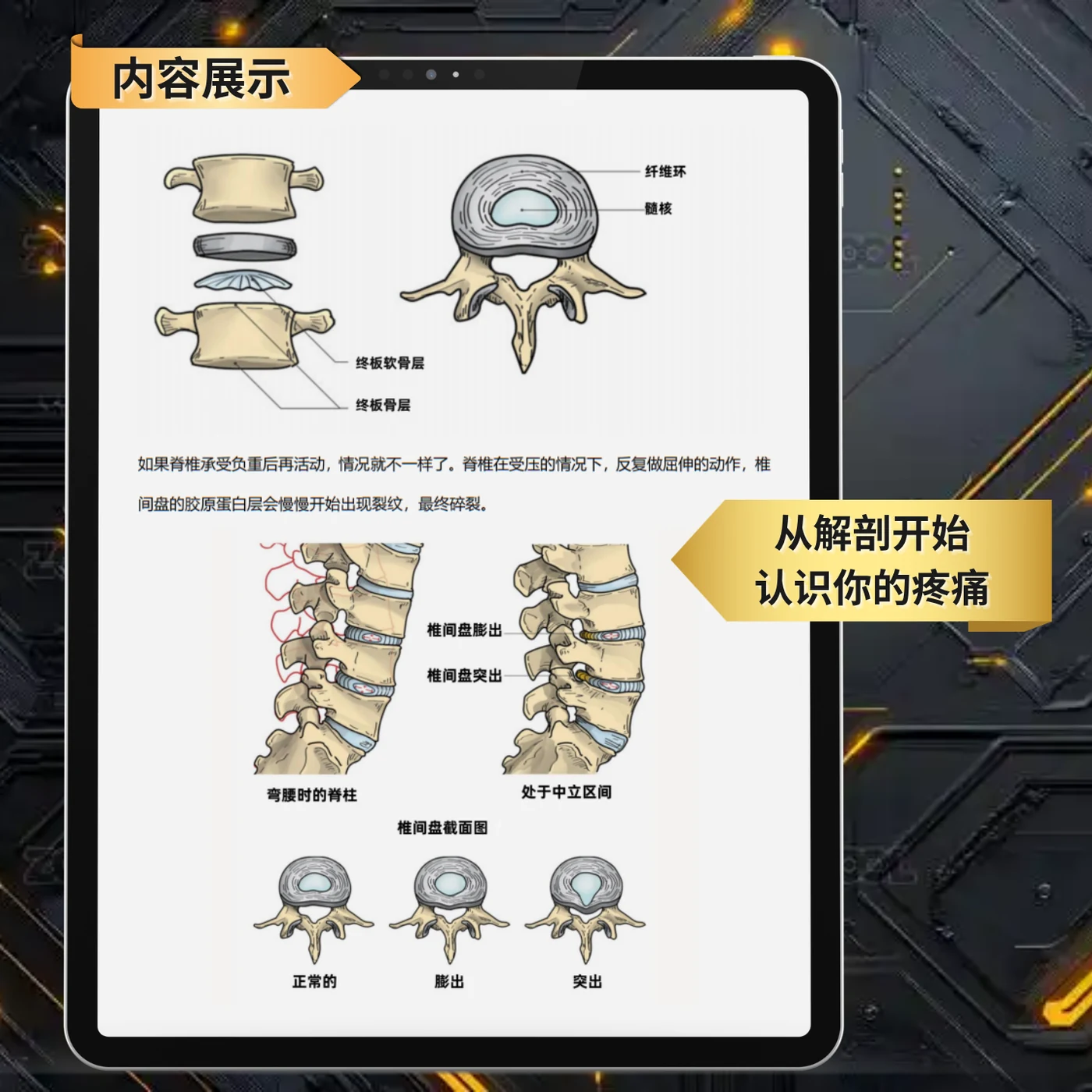 重返巅峰 — 脊柱与解剖